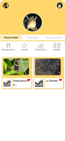 Details & recommendations