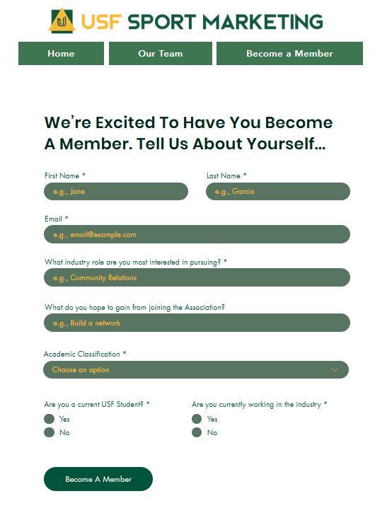 USF Sport Marketing Website